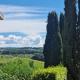 Santa Cristina, Greve in Chianti (zdjęcie 7)