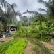 Win Home Stay, Kon Rung (1) (fotografie 10)