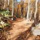 Cozy Stay with Balcony, BBQ & Trails, Near Lake Lyster, Coaticook (fotografie 3)