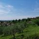CÀ DEGLI OLIVI - Villino tra gli Olivi nel Borgo, Caneva (fotografie 10)