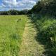 Shepherds hut in 7 acre field, Ludworth (fotografie 2)