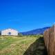 Cap sur le Ventoux, Mormoiron (фото 2)
