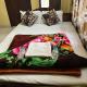 Mahi Home Stay, 加姆布 - 照片 10