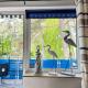 Apartment Blaumuschel by Interhome, Lubmin (fotografie 8)