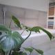 Rheinhessen-Loft, Alzey (foto 10)