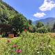 Timber Charm Chalet, Rau Sadului - 写真 1