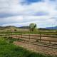 Pioneer Ridge, Del Norte (fotografie 3)