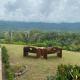 Lapas House