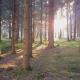 Bridgewood Camping - CABIN, Sherborne (fotografie 5)