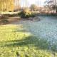 Brookside Willow