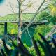 Jardin Secreto, El Viejo