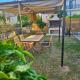Villa Niso Blue, Skala Sotiros (foto 6)