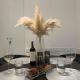 Luxury apartment Skalina & Volat, Spalato (Split) - Foto 2