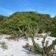 Resort - Arraial do Cabo - Golden Lake, 阿拉亚尔-杜卡布 - 照片 3