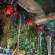 The Green View Homestay Siliguri in, Siliguri - Photo 4