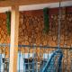 Green Mansion, Domneşti - Photo 10