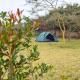 Shegadia Camp, Lotus Island - 写真 1