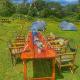 Castle forest the Trip, Mount Kenya - Fotografie 5
