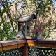 Romantic Retreat with Spa and Private Gardens, Mount Dandenong (foto 10)