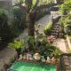 Orchid Bed and Breakfast, Galicias (fotografie 3)