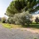 Podere Bellavista, Rosignano Marittimo (foto 6)