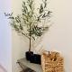 Home2, Athen - Foto 5