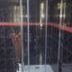 Casa Criss - Only Pet Friendly, アラド - 写真 2