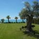 Villa Esmi Durres, Kryemëdhej (fotografie 8)