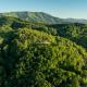 Honey Bear Hideaways - Luxury Cabin with Infinity Pool, Breathtaking Mountain Views & Sunset Decks, Sevierville - Fotografie 9