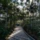 Aqueduct Retreat, Kushalnagar - Fotografie 10