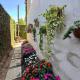 Flat das flores, Garanhuns - Foto 3