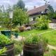 Elton384, Bogojina (Foto 3)
