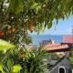Calma e Relax in Laiugueglia, Mare e tranquillità, Laigueglia (fotografie 2)