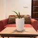It's Royal luxury suites, 斋浦尔 - 照片 10