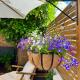 The Terrace Garden Flat Bournemouth - Photo 8