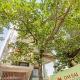 Hotel O Park Inn Near Parashuram Chowk, Moradabad - Foto 8