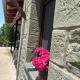 Stonehouse Karidis, Agnanta (foto 6)