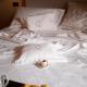 Convento Francescano - Small Luxury Hotels of the World, Cilento, Cuccaro Vetere (fotografie 10)