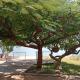 Capricorn by Quest-Cape Maclear, Monkey Bay (Foto 8)