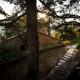 15th century castle, between 5 Terre and Portofino, Leivi (fotografie 4)