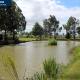 Pine Trees Leisure Park, Skegness (photo 4)