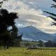 Bellbird Hideaway, Pleasant Valley (fotografie 7)