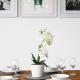 The Exquisite Gem of Central Bath - Sleeps 8, Bath - Foto 8