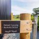 Defaid Cymreig, Oswestry (fotografie 3)