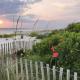 Glo's Getaway, Cape San Blas - Fotografie 1