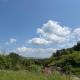 ViWa, Zöllnitz (Foto 3)