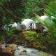 Glamping tent in Pelaga Eco Park