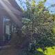 Residence Green Pool & SPA, Visoko (Foto 7)
