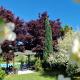 Residence Green Pool & SPA, Visoko (Foto 2)