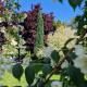 Residence Green Pool & SPA, Visoko (Foto 6)